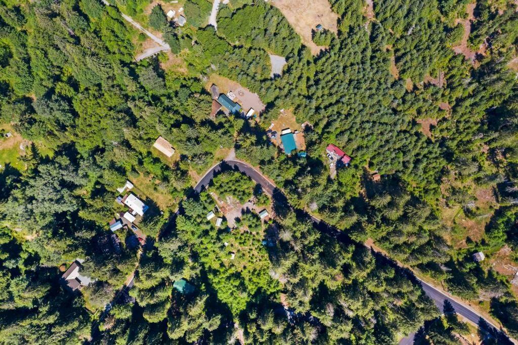 New Tiny Home Steps Away From Mt. Rainier Эшфорд Экстерьер фото